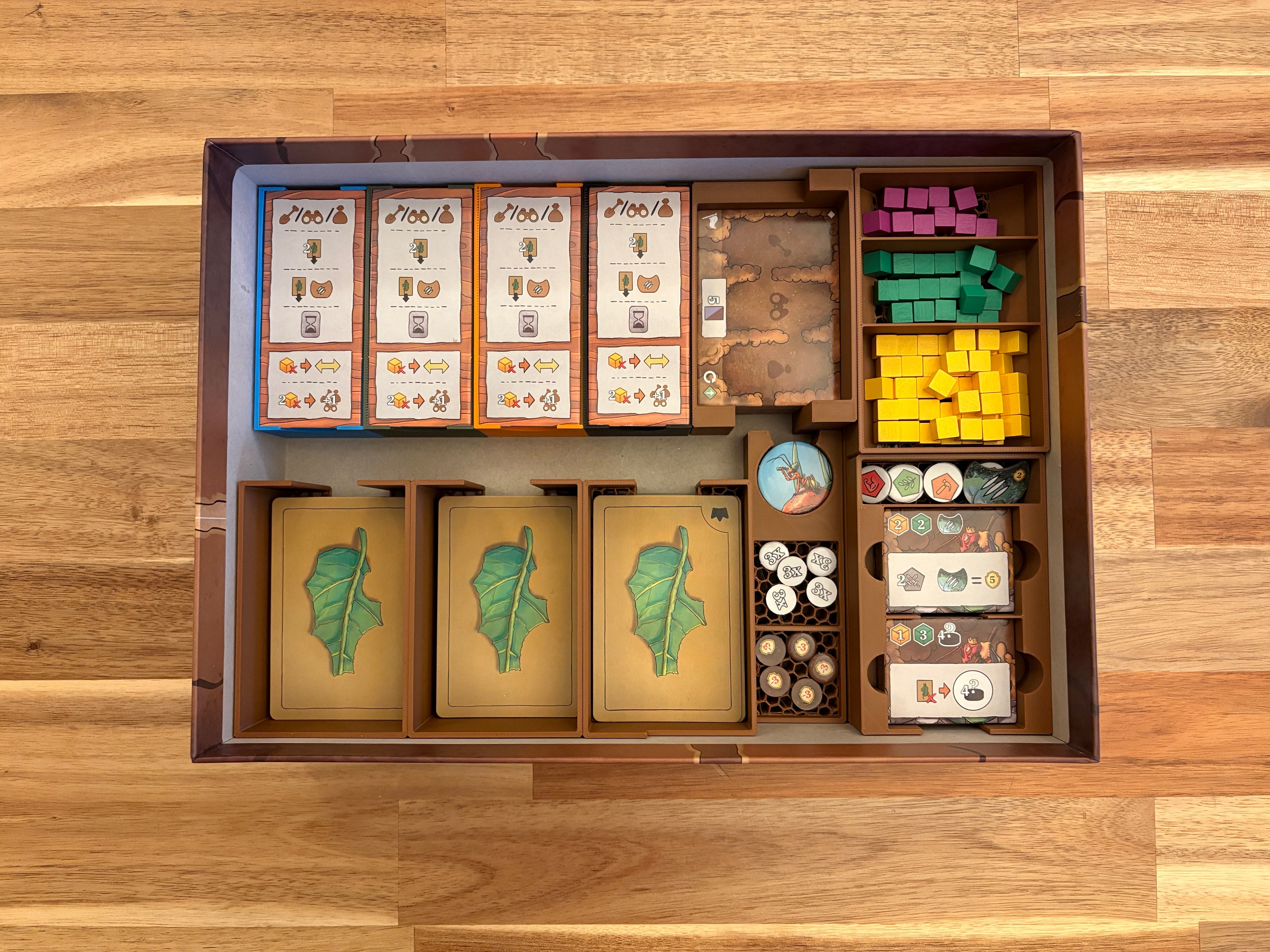 Ameisen von Amyra Insert