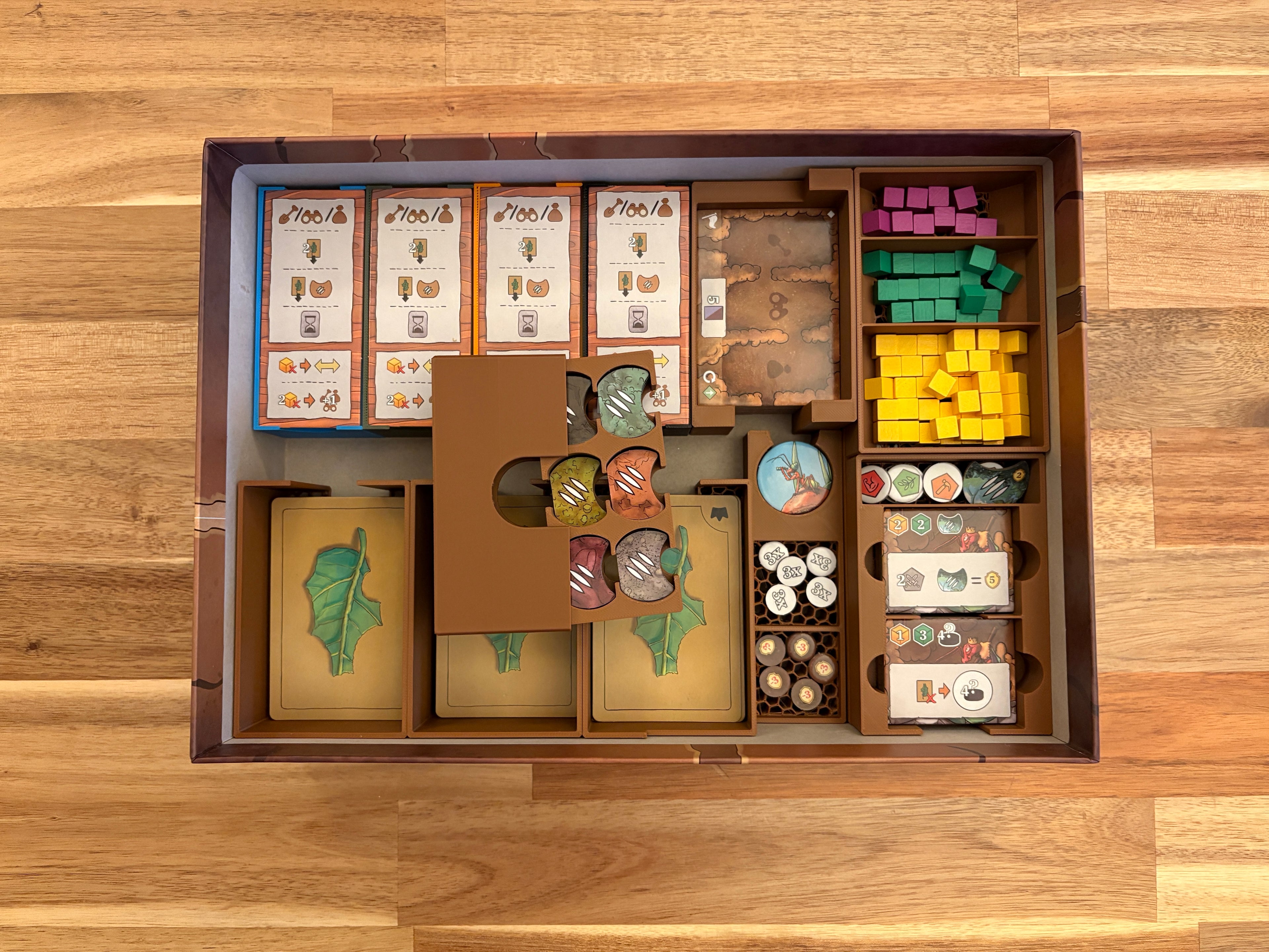 Ameisen von Amyra Insert