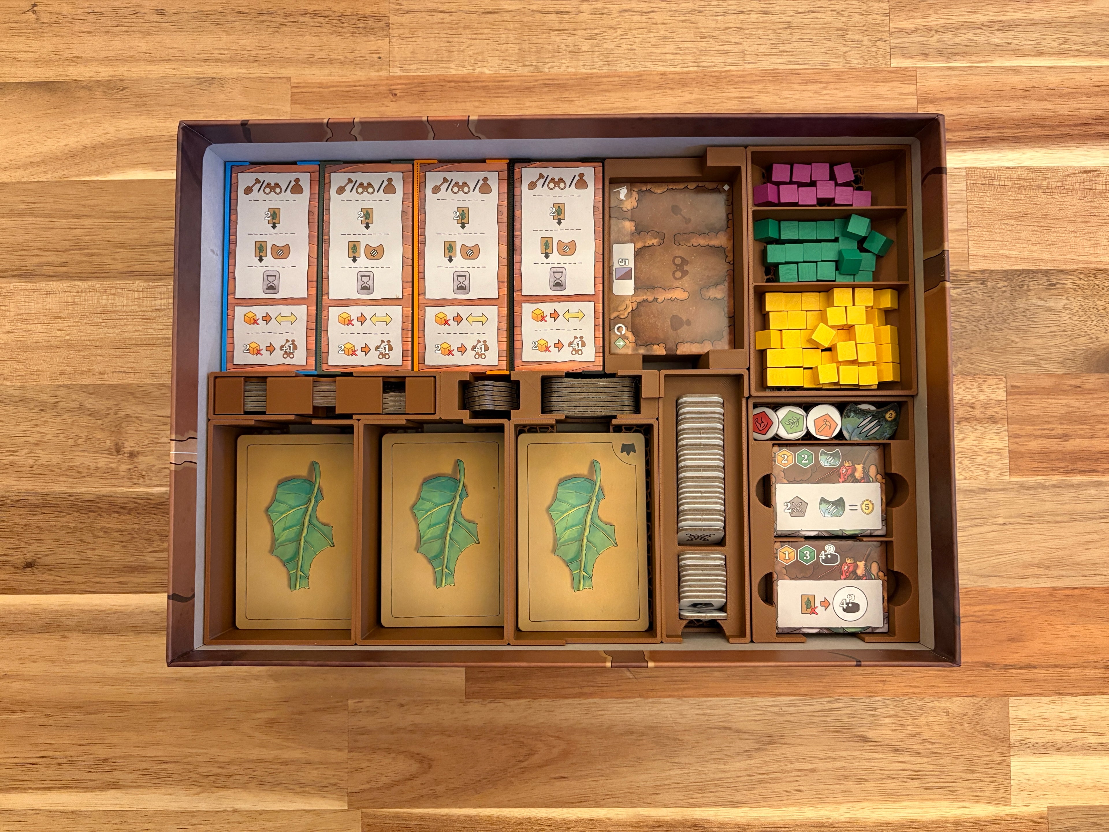 Ameisen von Amyra Insert